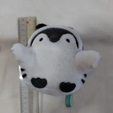 화이트 타이거 씨인 코우펜짱