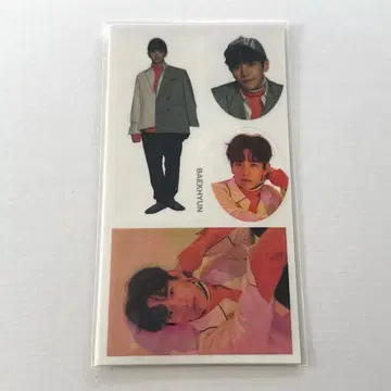 EXO 백현 테라리움 스티커 트레이딩 카드