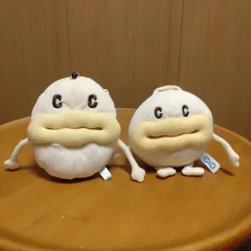 Cafuca 카프카 신비로운 톤 & 패스 케이스