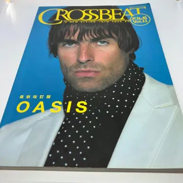 크로스 비트 file vol.11 최신 개정판 오아시스 [ 도서 ]