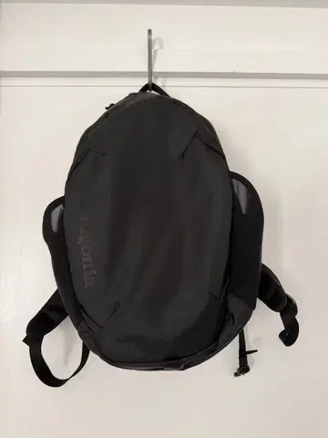 Patagonia 아톰 백팩 24L 블랙