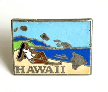 미국 하와이주 빈티지 핀 배지