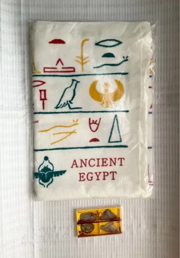 고대 이집트전 이마바리 페이스타월 엣징 클립 2세트 스테인리스