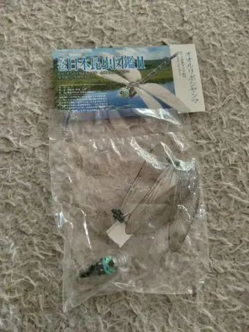 yujin 원색 일본 곤충 도감 II 오오루리보시얀마