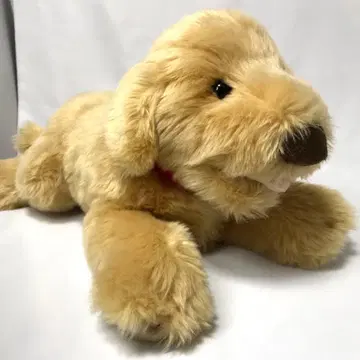 골든 리트리버 봉제 인형 요시토쿠
