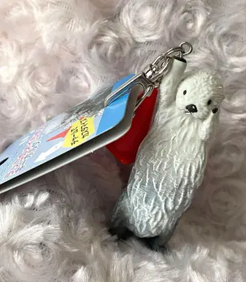 도바 수족관 오리지널 랏코 메이쨩 키링 피규어 토바스이