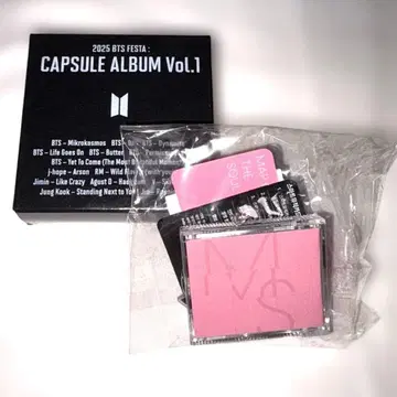 BTS 2025 FESTA CAPSULE ALBUM PERSONA