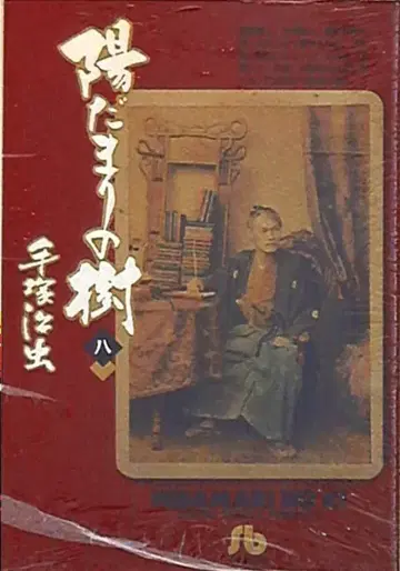 소학관 소학관 문고 데즈카 오사무 히마리노키 문고판 [완] 8