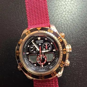 CITIZEN eco drive promaster 남성용 손목시계