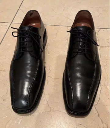 스코치 그레인 신사 신발 24.5cm [ F-9050 ]