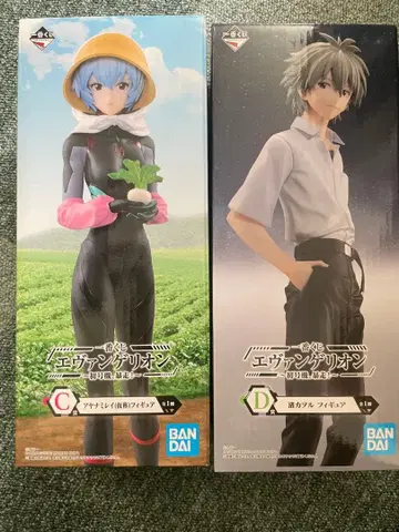 에반게리온 피규어 카오루 아야나미 레이 제일복권