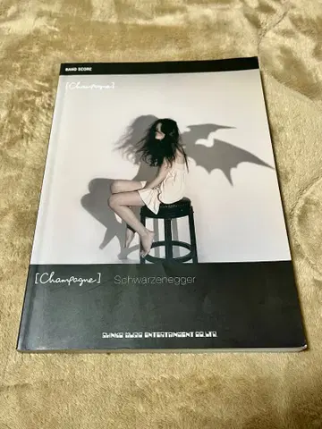 [Alexandros] Schwarzenegger 밴드 스코어