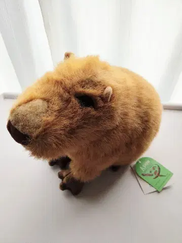 ASHOW 카피바라의 리얼한 봉제 인형