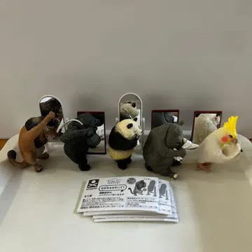 거울을 봐봐? 아사즈미 토시오의 메이크업 애니멀즈 전 5종 세트