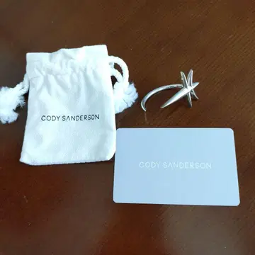 CODY SANDERSON 드래곤 플라이 귀걸이