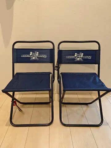 디즈니 레저 체어