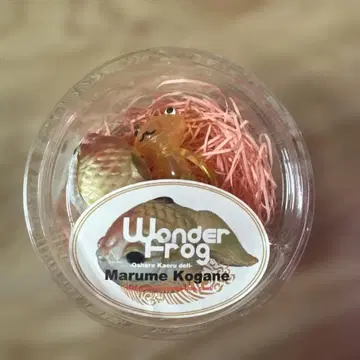 포춘 완다 금붕어 포함