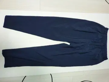 United Arrows 썸머 폴리에스테르 내추럴 포플린 이지 팬츠 L