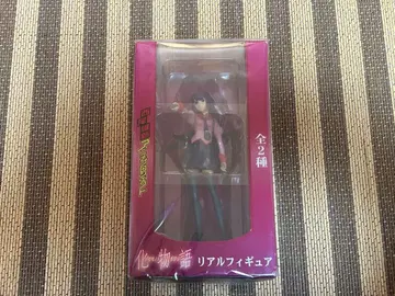 바케모노가타리 리얼 피규어 센죠가하라 히타기 새상품