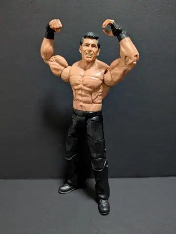 WWE 피규어 프로레슬링 빈스 맥마흔 마텔 엘리트 WWF