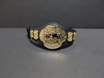 WWE 피규어 프로레슬링 ECW 챔피온 벨트 잭스제