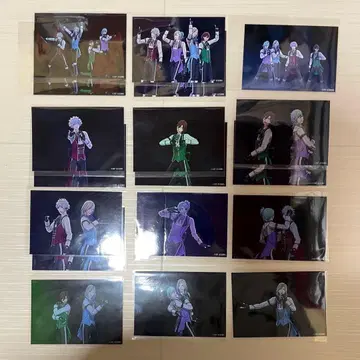 우타프리 ASSHC 카르나이 브로마이드