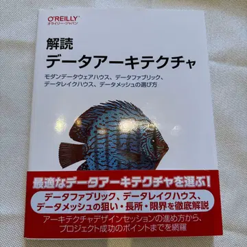 해독 데이터 아키텍처 : 모던 데이터 웨어하우스, 데이터 패브릭, -