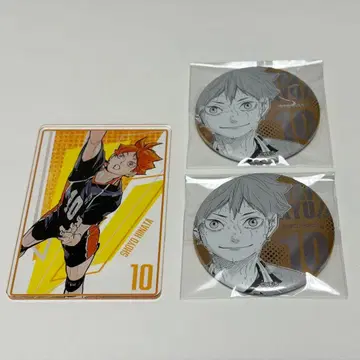 하이큐 히나타 쇼요 데콜렉션 캔뱃지 스탯 카드