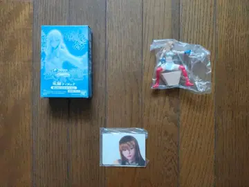 격투미신 무룡 모란 피규어