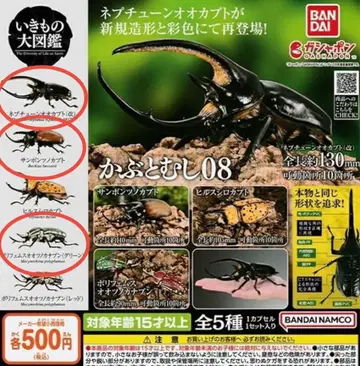 생물대도감 사슴벌레 08 3종류 미개봉 새상품