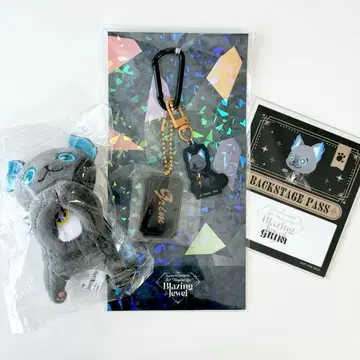 새상품 트위스테 브레이징 주얼 그리 아크릴 참 하구캬라 외