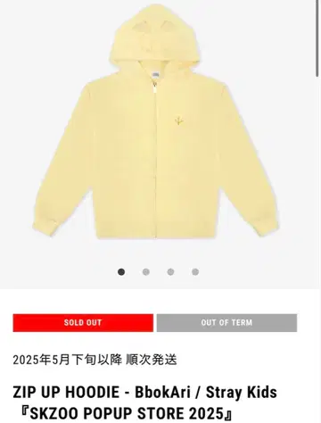 ZIP UP HOODIE - BbokAri Felix
