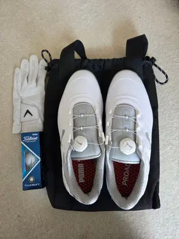 골프화 (덤 포함)