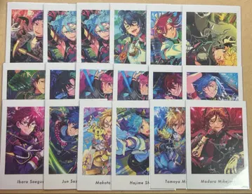 앙스타 파샤츠 vol.6 39장 세트