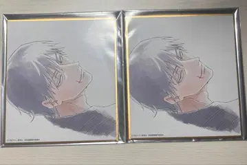 주술회전전 회옥옥절 후시구로 토우지 색지