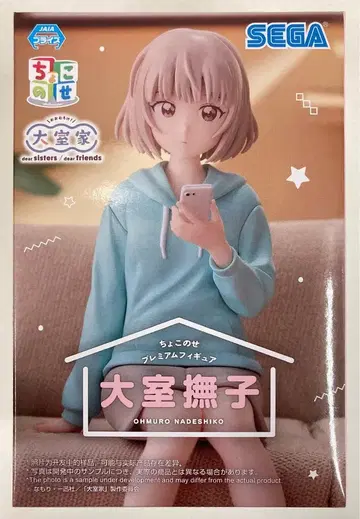 세가 쵸코노세 프리미엄 피규어 오오무로가 오오무로 나데시코