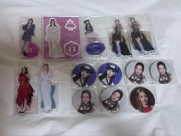 IS:SUE 사카구치 리노