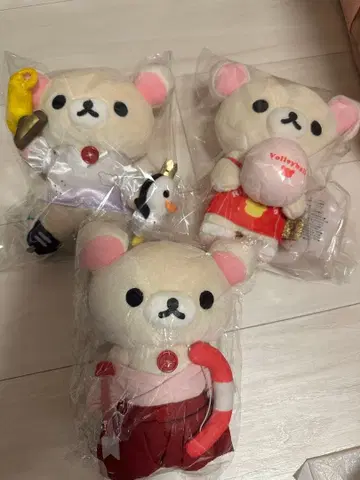 코리락쿠마 기념일 한정판 봉제 인형