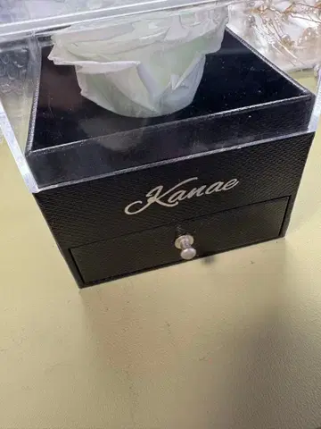 카나에 니지산지 준브라이드