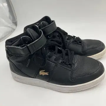 LACOSTE 라코스테 블랙 24cm TRAMLINE MID 120