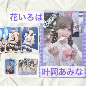 꽃 이로하 카나오카 아미나 데지리아 트레이딩 카드 굿즈 세트