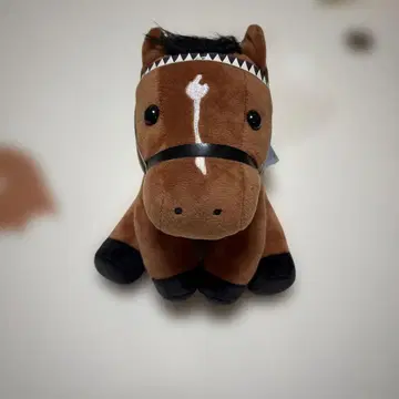 서러브레드 컬렉션 (택 포함) 도두스