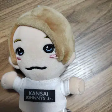 세이몬 요시노리 치비누이