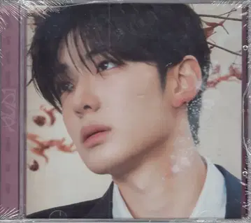 ALPHADRIVEONE SANGHYEON EUPHORIA 상현