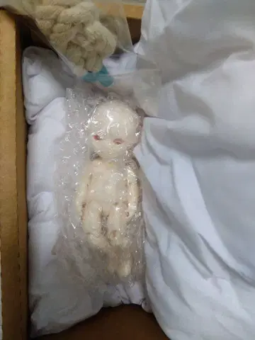 블루 페어리 포켓 페어리 미니메이 남아