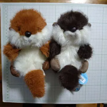 후와리 베이비 카와우소짱 2체 세트