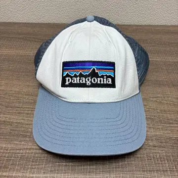 Patagonia 메쉬 캡