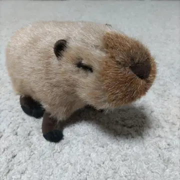 카피바라 봉제 인형