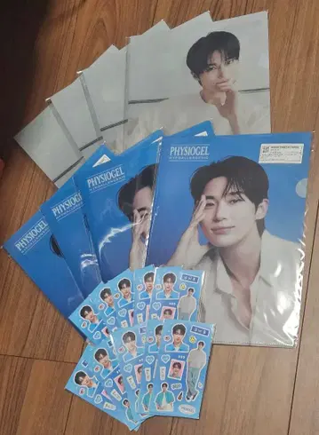 변우석 PHYSIOGEL 클리어 파일 스티커 한국