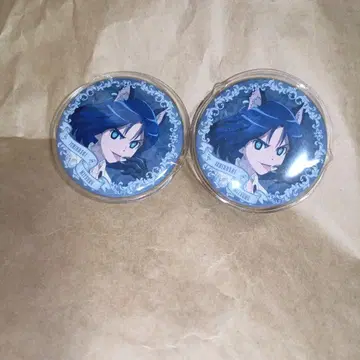 이나즈마 일레븐 캔뱃지 잇세이 미츠루 캔뱃지